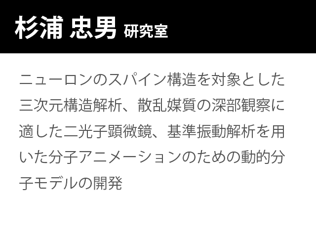 崇城大学情報学部　杉浦 忠男　研究室